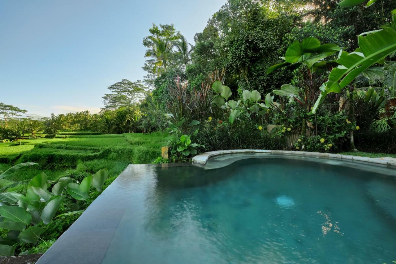 Villa Kembang Bali Ubud Εξωτερικό φωτογραφία